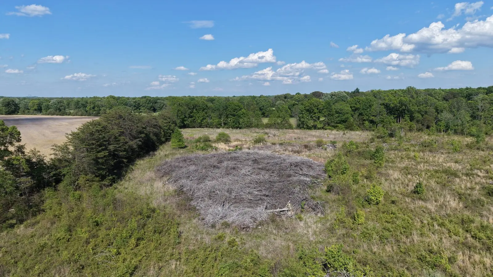 Aerial of a brush pile and cleared area on a Virginia land parcel beside a farm field and treeline